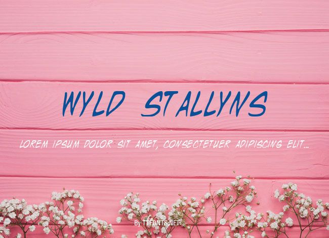 Wyld Stallyns example